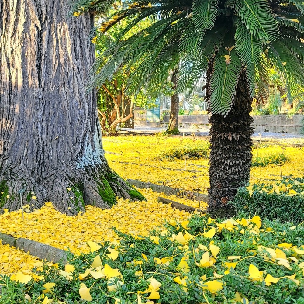 Meet your Posher, Lily mae